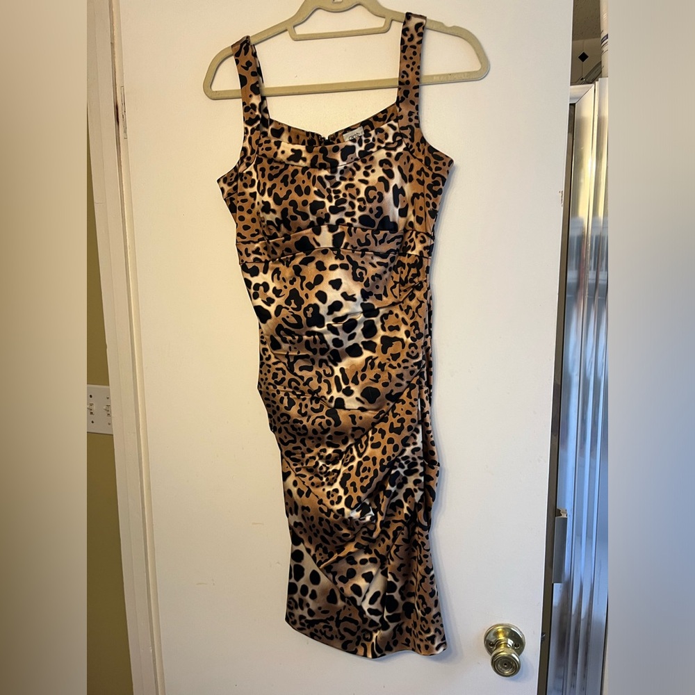 Super sexy, stretchy, like-new Cache dress